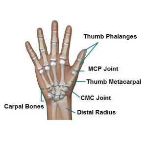 pain in thumb 